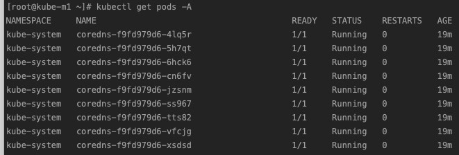 Coerdns Pod